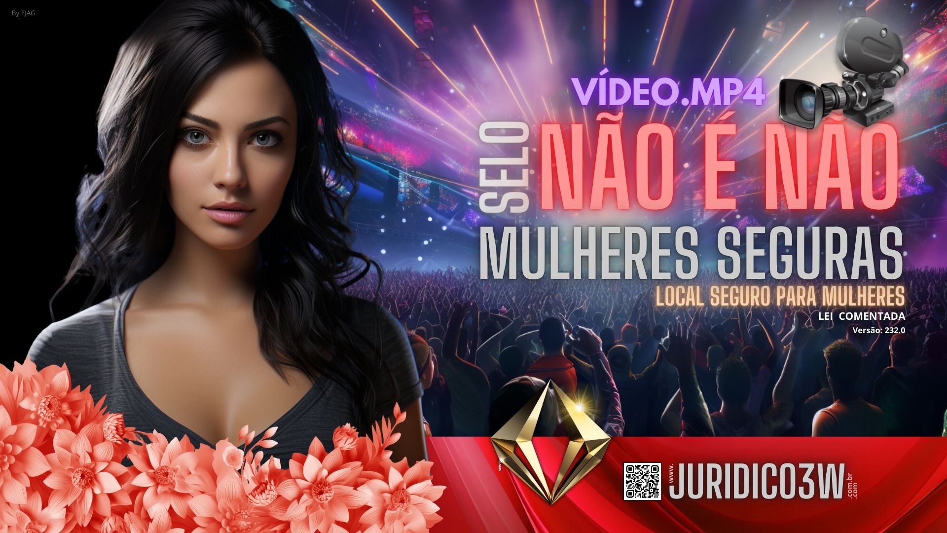 Lei conhecida como Não é Não em Vídeo